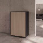 E+ Medium Height Cabinet