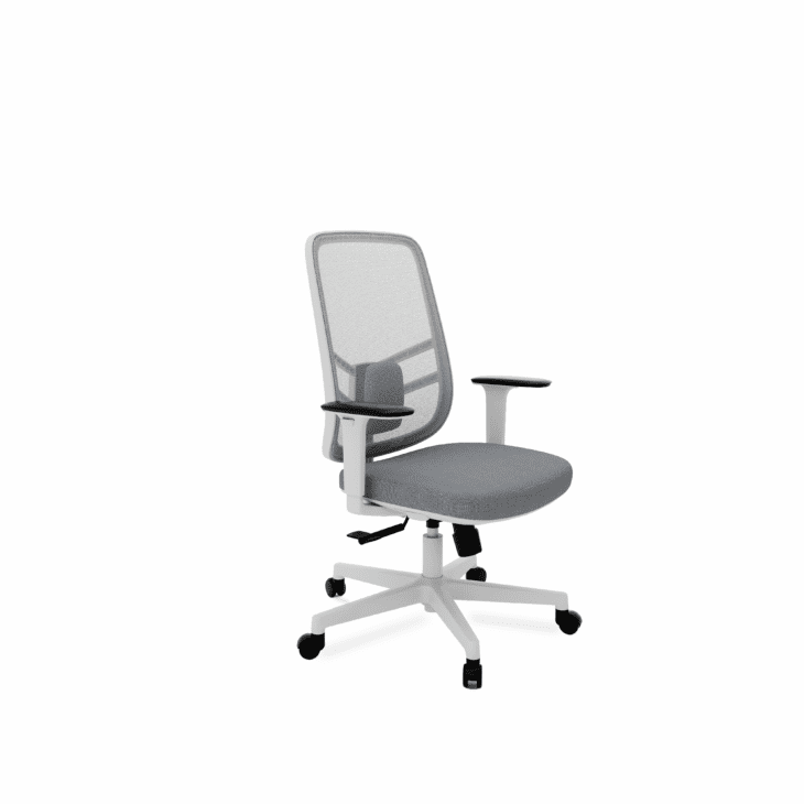 Fly Task Chair - Grey Frame