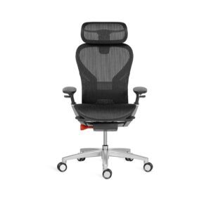 A modern, ergonomic office swivel chair shown in profile against a white background. The chair features a high back and headrest made of black mesh material for breathability. It has adjustable black armrests, an adjustable lumbar support mechanism (indicated by an orange lever near the base), and a silver/light gray frame supporting the seat and five-star base with casters.