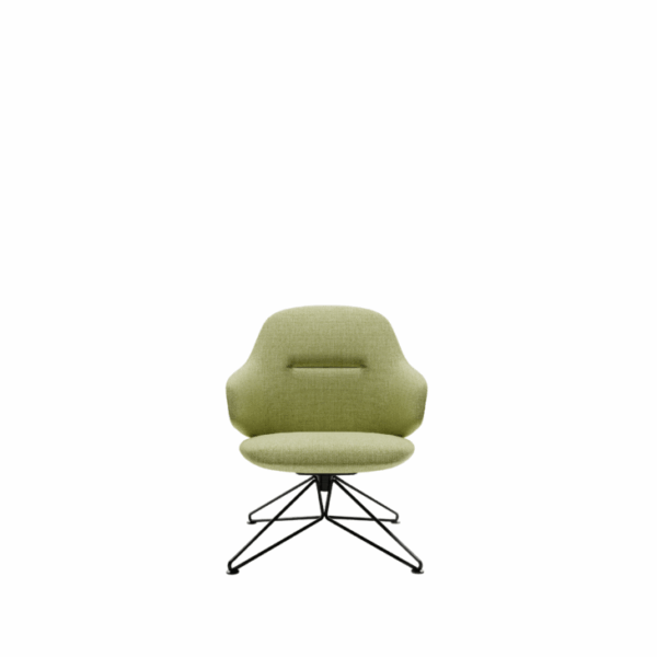 Argo Lounge Chair - Image 1