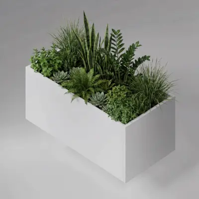 Planter Box With Plants