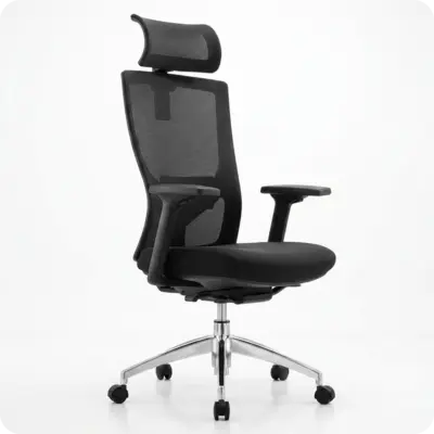 Nx - Ergonomic Manager Chair