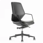 Sierra Executive Guest Meeting Chair