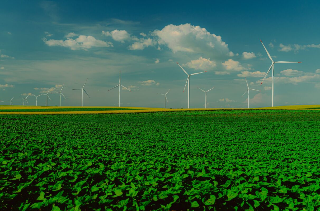 A row of modern white wind turbines standing in a lush green agricultural field under a blue sky with scattered clouds.